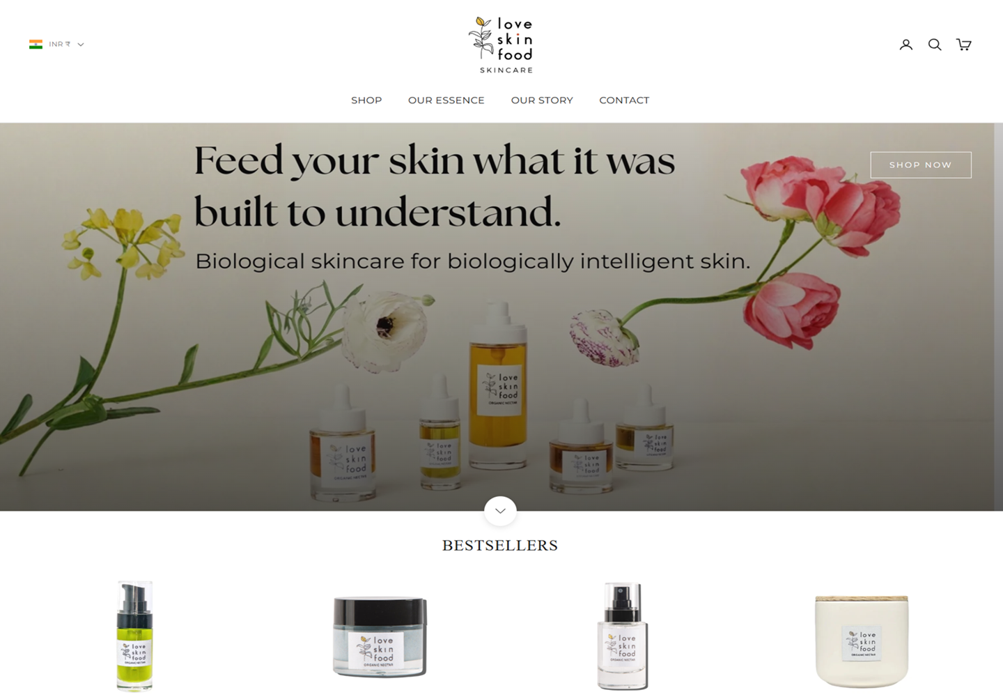 LoveSkin Food Skincare website homepage designed and developed by ACSIUS